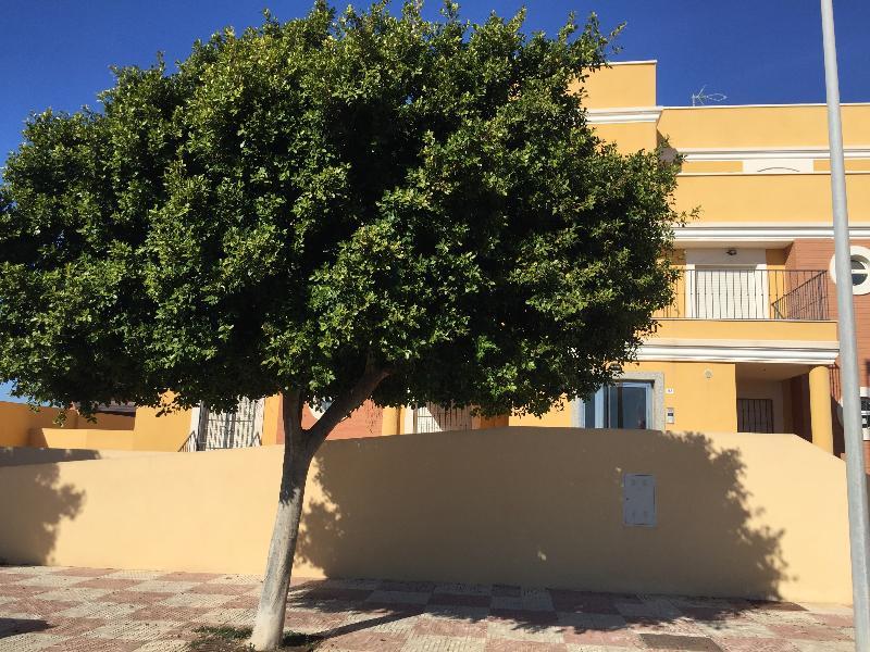 Apartamentos Playamar Roquetas de Mar Bagian luar foto